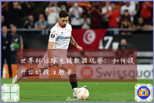 世界杯让球竞猜数据观察：如何提升你的投注胜率