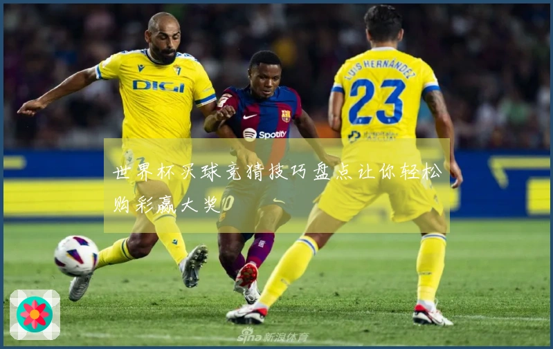 世界杯买球竞猜技巧盘点让你轻松购彩赢大奖